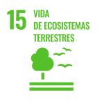 Objetivos de desarrollo sostenible