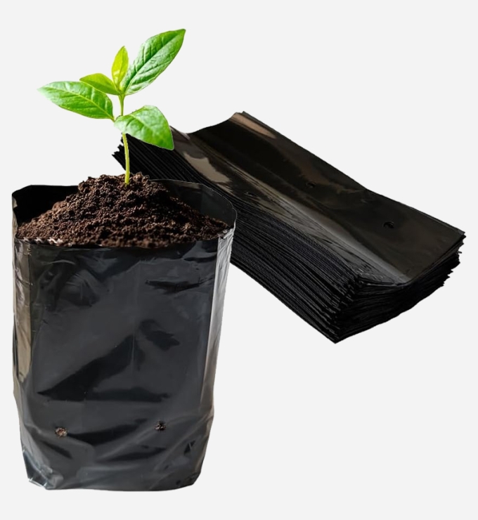 Bolsa de polietileno 4x7x2
