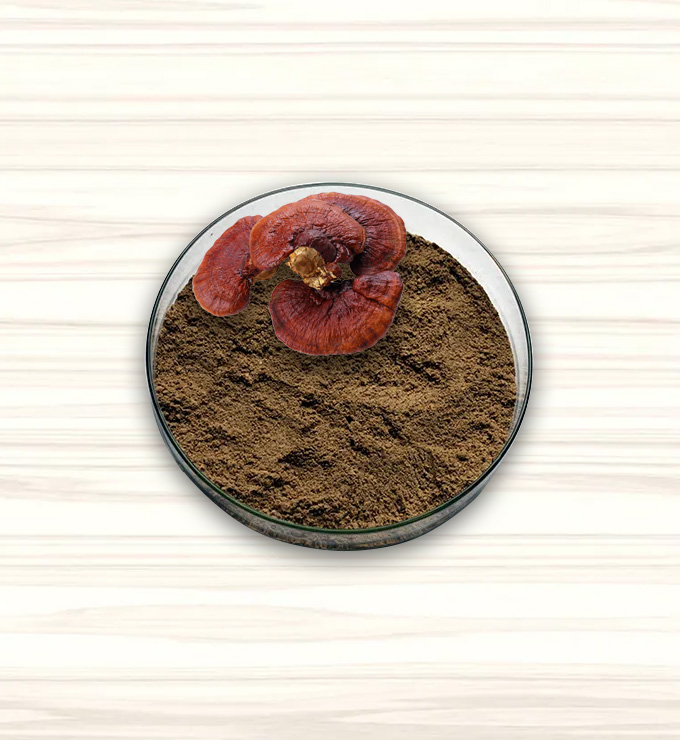 Micorrizas Enraizante Natural 1kg
