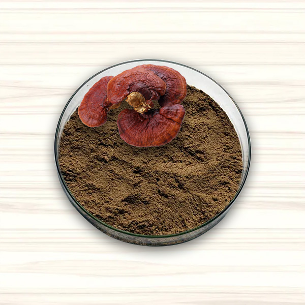 Micorrizas Enraizante Natural 1kg