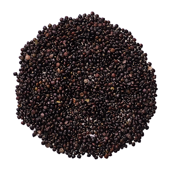 Semilla de Ceticio