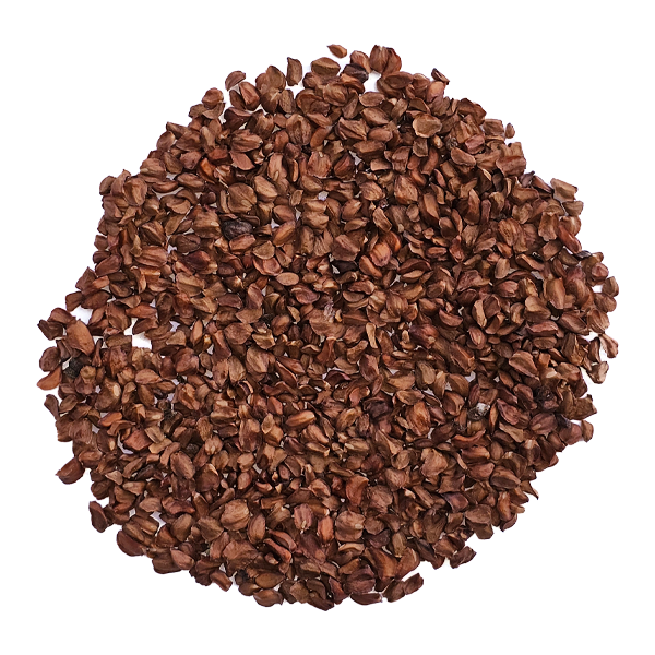 Semilla de Ciprés