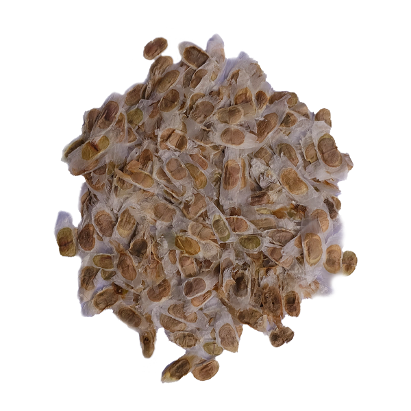 Semilla de Huaranhuay
